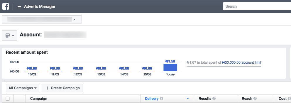 Facebook Ad Manager In Naira